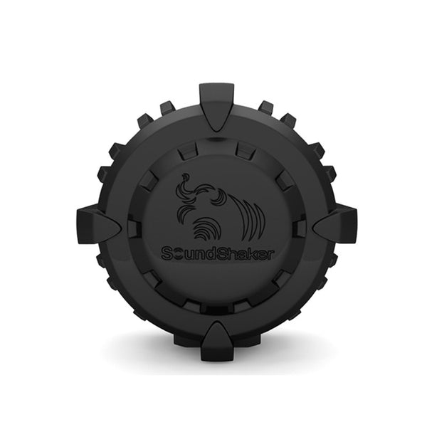 SoundShaker Transducer