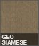 Geo Siamese
