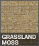 Grasslands Moss