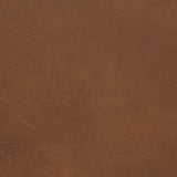 8213 Tawny