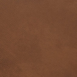 Free Leather Samples