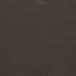 Free Leather Samples