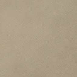 Free Leather Samples