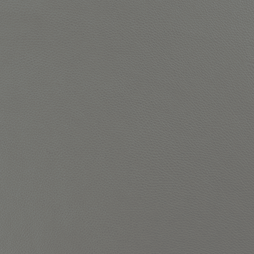 Arctic Gray