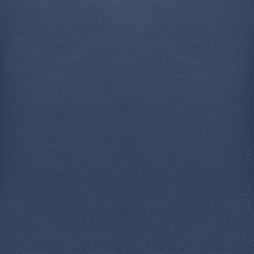 Vinyl - Blue