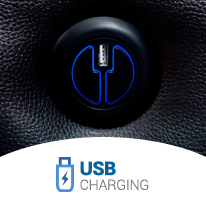 12006 USB Charging