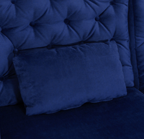 Matching Kidney Pillows Included